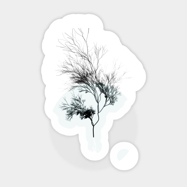 Minimalist Tree Sticker by cwtu26